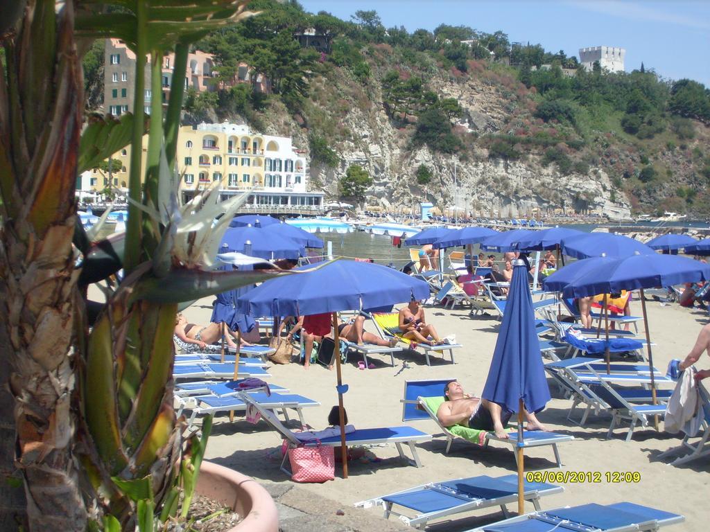 B&B Celestina Ischia ラッコ・アメーノ エクステリア 写真
