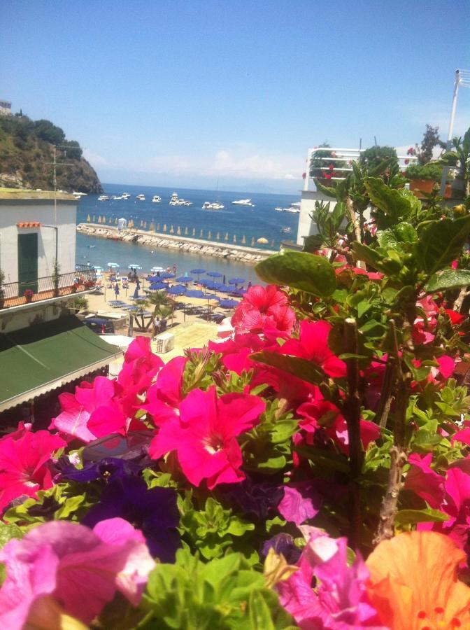 B&B Celestina Ischia ラッコ・アメーノ エクステリア 写真